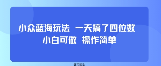 小众蓝海玩法 一天搞了四位数 小白可做 操作简单-聚合资源