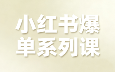 尼采老师·小红书爆单系列课-聚合资源