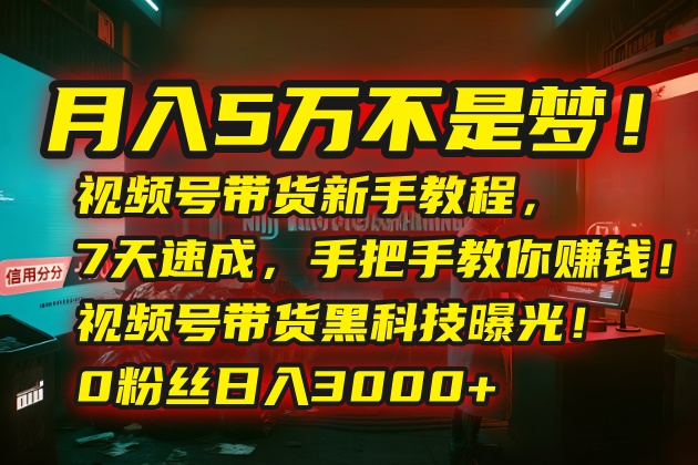 月入5万不是梦！视频号带货新手教程，7天速成，手把手教你赚钱！视频号…-聚合资源