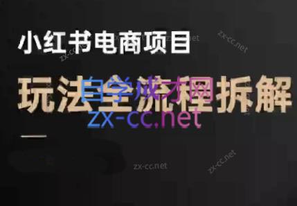 菲菲老师·小红书电商玩法(更新7月)-聚合资源