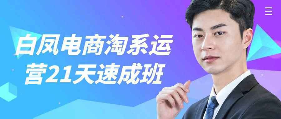 白凤电商淘系运营21天速成班-聚合资源