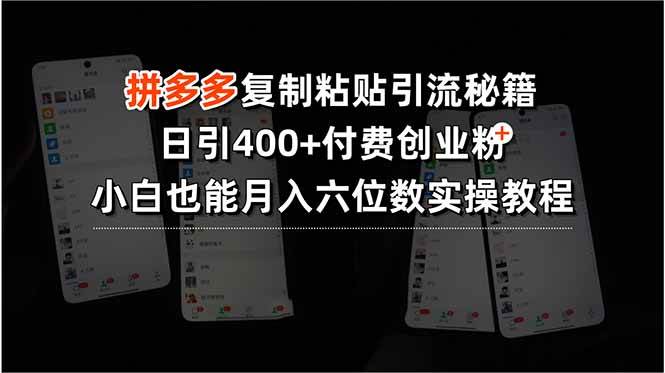 (15613期)拼多多复制粘贴引流秘籍,日引400+付费创业粉,小白也能月入六位数实操…-聚合资源