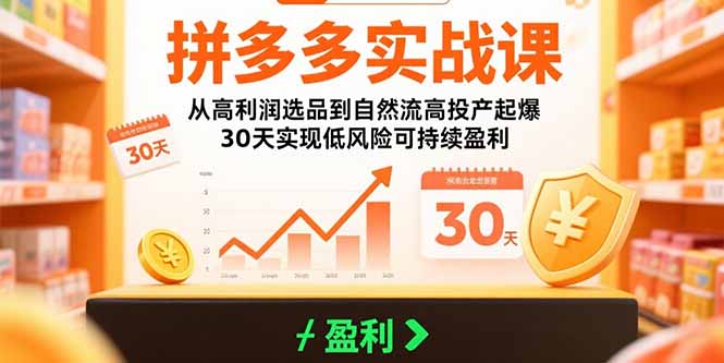 拼多多实战课：从高利润选品到自然流高投产起爆 30天实现低风险可持续盈利-聚合资源