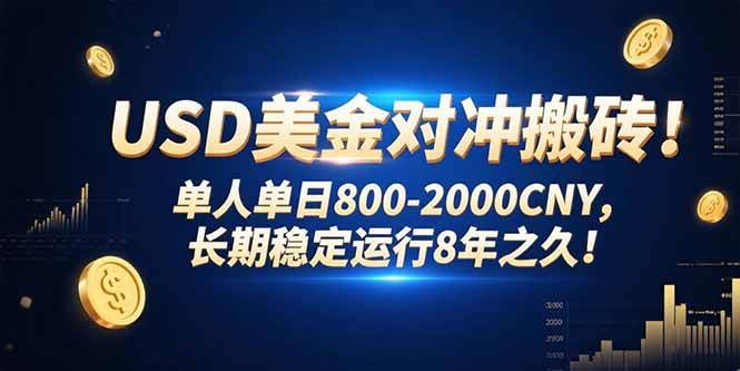 (15551期)USD美金对冲搬砖!单人单日800-2000CNY,长期稳定运行8年之久!-聚合资源