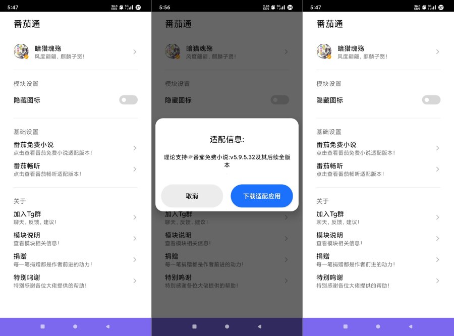 番茄通1.0.4番茄小说番茄畅听VIP解锁模块-聚合资源
