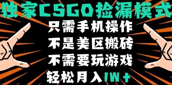 CSGO自动捡漏项目，最新独家玩法，不是美区搬砖，不需要了解和玩游戏，新手小白轻松月入1W+【揭秘】-聚合资源
