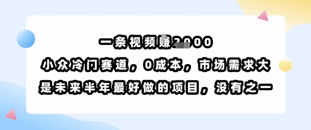 一条视频挣1k，小众冷门赛道，0成本，市场需求大，是未来半年最好做的项目，没有之一-聚合资源