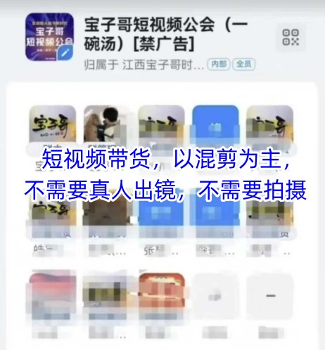 宝子哥头部团队短视频带货，以混剪为主，不需要真人出镜，不需要拍摄【更新8月】-聚合资源