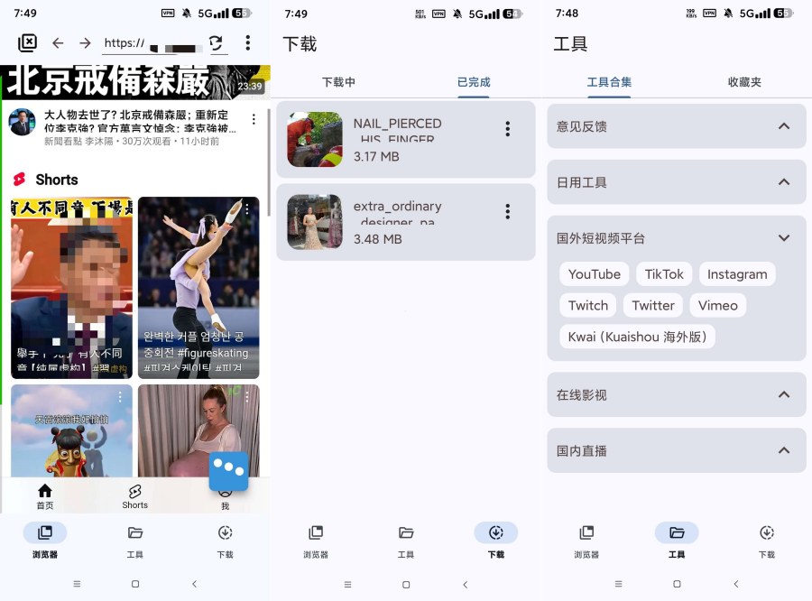 国际视频下载器VidSnap网页视频下载支持国际抖音等等-聚合资源