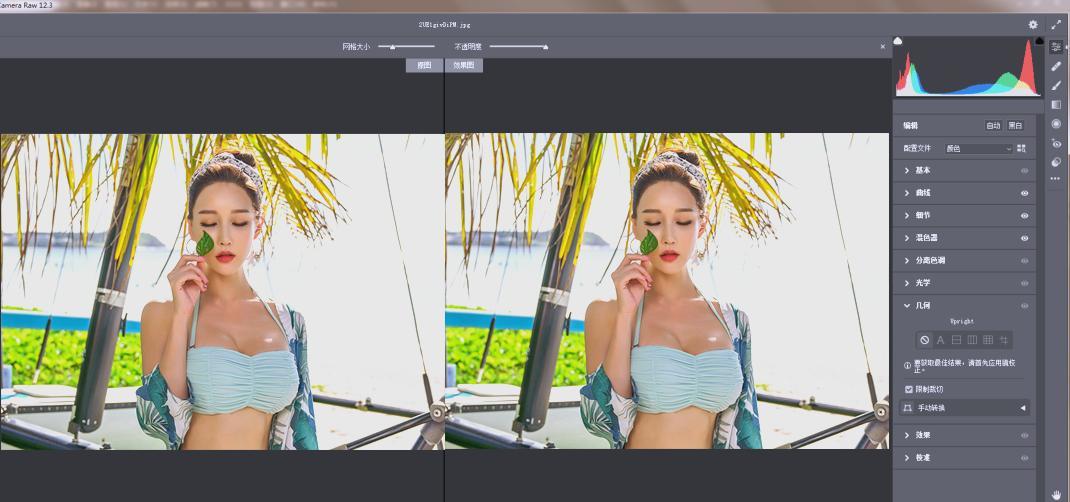 Adobe Camera Raw(RAW处理工具)v18.0.0中文版-聚合资源