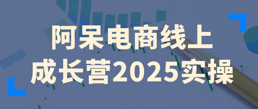 阿呆电商线上成长营2025实操-聚合资源