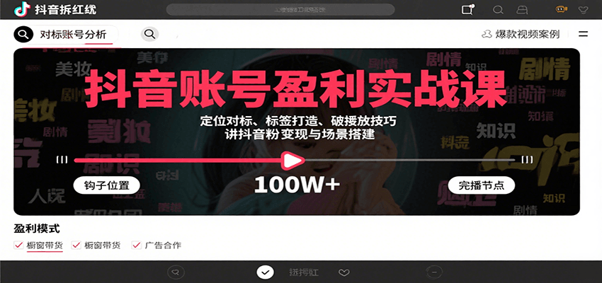 抖音账号盈利实战课，定位对标、标签打造、破播放技巧，讲涨粉变现与场景搭建-聚合资源