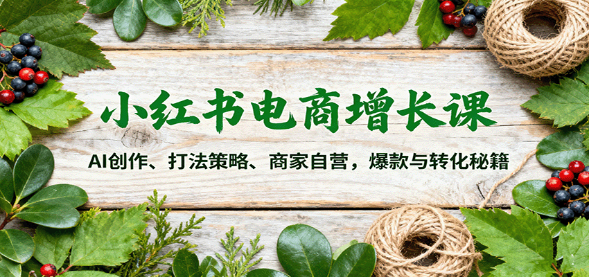 小红书电商增长课：AI创作、打法策略、商家自营，爆款与转化秘籍-聚合资源