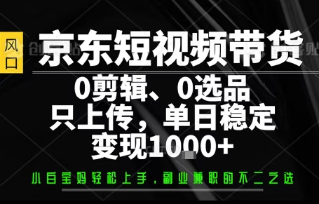 你出账号，我来运营，保底日入1k+，开启躺賺模式【揭秘】-聚合资源