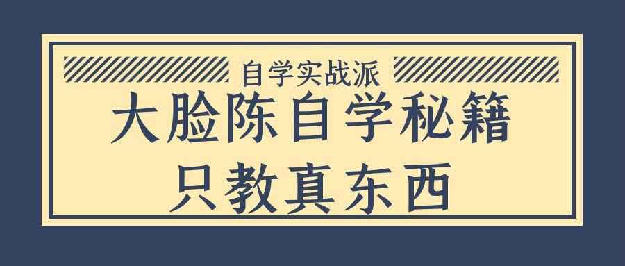 大脸陈自学秘籍只教真东西-聚合资源