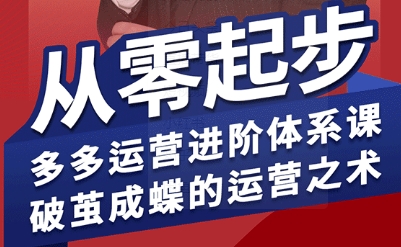 拼多多运营进阶系统课,从零起步,多多运营进阶体系课,破茧成蝶的运营之术-聚合资源