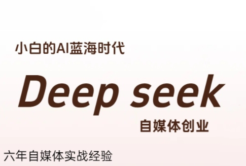 冰冰老师·普通人如何利用Deepseek创业-聚合资源