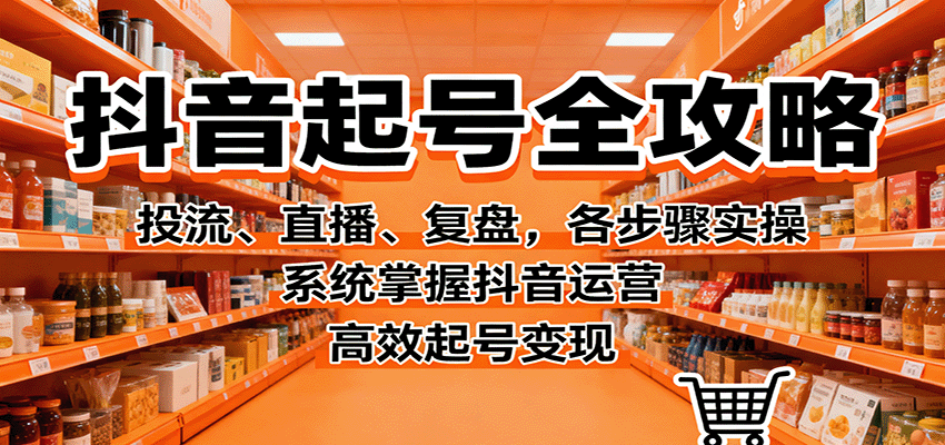 抖音起号全攻略，投流、直播、复盘，各步骤实操，系统掌握抖音运营，高效起号变现-聚合资源