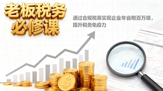 老板税务必修课,通过合规税筹实现企业年省税百万级,提升税务免疫力-聚合资源