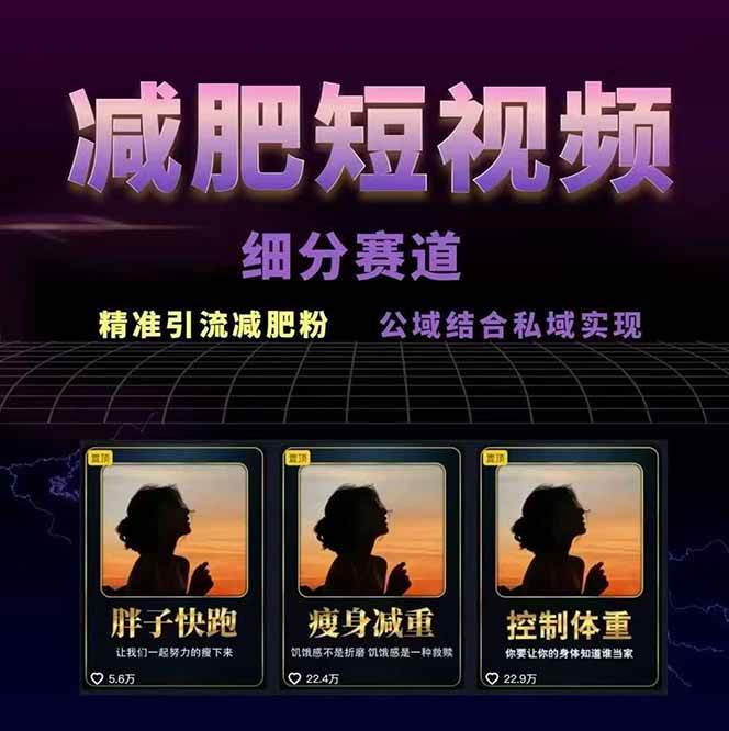 图片[2]-减肥短视频运营实战课：含素材制作、剪映教学，讲精准引流、变现设计与内容模板技巧-聚合资源