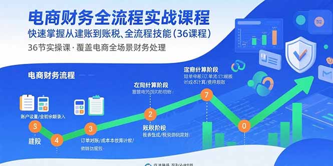 电商财务全流程实战课程：快速掌握从建账到报税的全流程技能(36节课-聚合资源