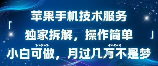 苹果手机技术服务，独家拆解，操作简单，小白可做，月过1W不是梦-聚合资源