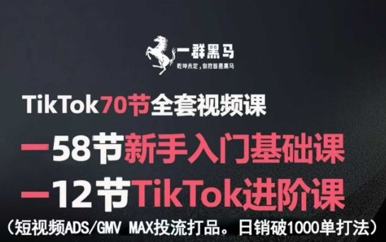 TikTok全套视频课，新手入门+进阶课，短视频ADS-GMV MAX投流打品，日销破1000单打法-聚合资源
