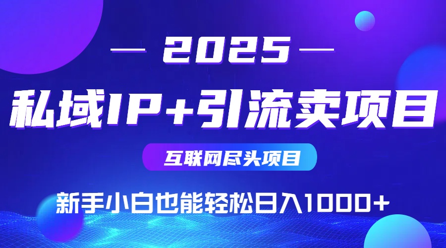 2025网创尽头项目，私域IP+引流，新手小白也能在家日入1000+-聚合资源