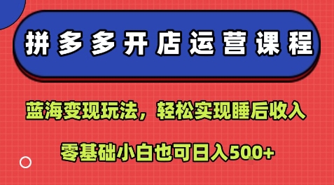 拼多多开店运营课程：蓝海变现玩法，轻松实现睡后收入，零基础小白也可日入5张-聚合资源