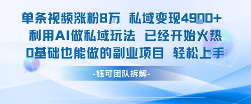 单条视频私域变现4.9k+利用AI做私域玩法 已经开始火热0基础也能做的副业项目轻松上手-聚合资源