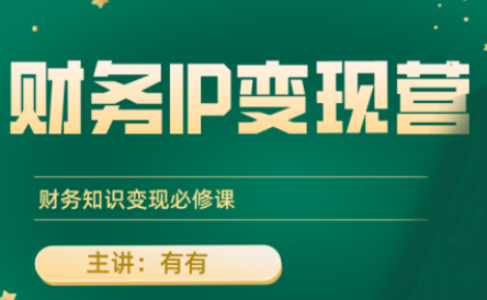 有有老师·财务IP变现营，财务知识变现必修课-聚合资源
