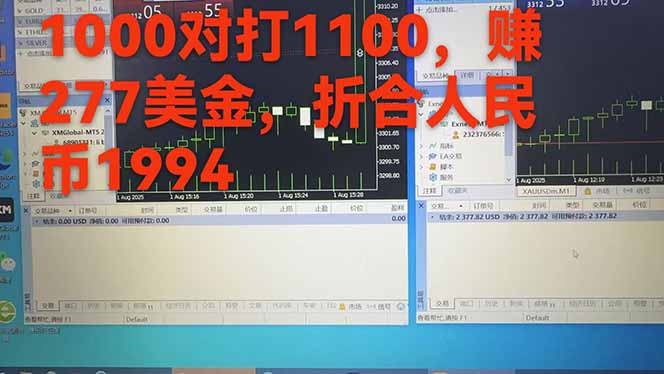 稳定8年的美刀搬砖项目,单人每日收益800—3000.团队4人月入10W+.可线下
